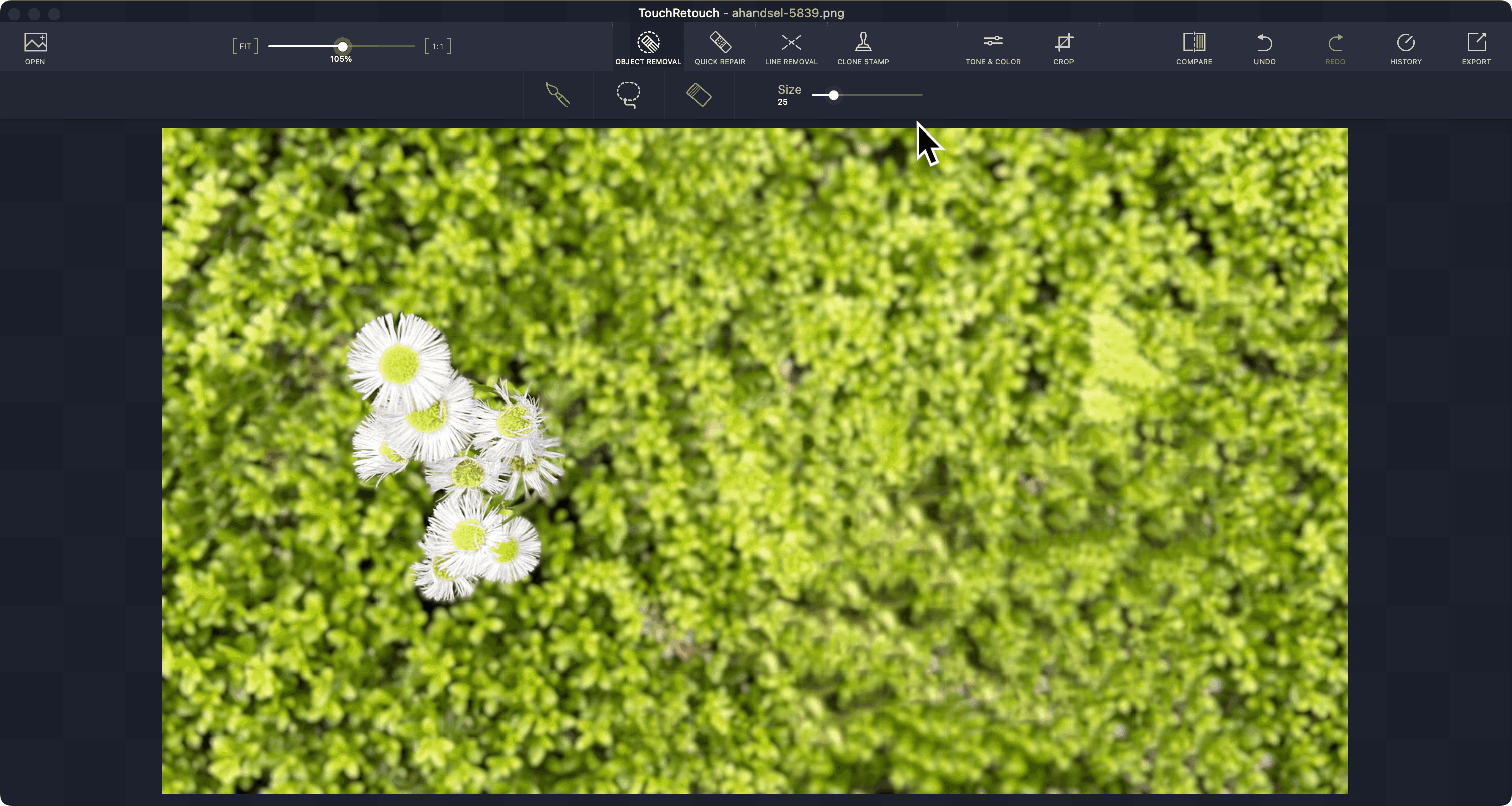 touch-retouch.gif