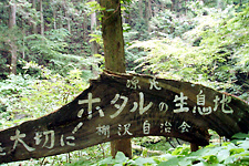 森の中に立つ源氏ホタル生息地の木製の看板
