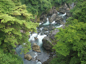 緑の木々の間をゴツゴツとした岩を縫って流れる鳩ノ巣渓谷の多摩川