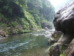 大きな岩肌のそばを流れる澄んだ緑色の川の水と、その奥の木々に覆われた崖